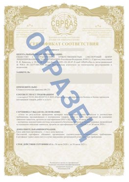 Образец Сертификат СТО 01.064.00220722.2-2020 Назарово Сертификат СТО 01.064.00220722.2-2020 